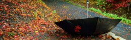 Churchill Knight blog benefits umbrella company