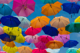 Comparing Umbrella Companies A Limited Company Contractors Guide FI