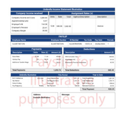 CKU example payslip