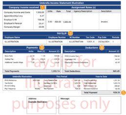 Churchill Knight Umbrella example payslip with annotations